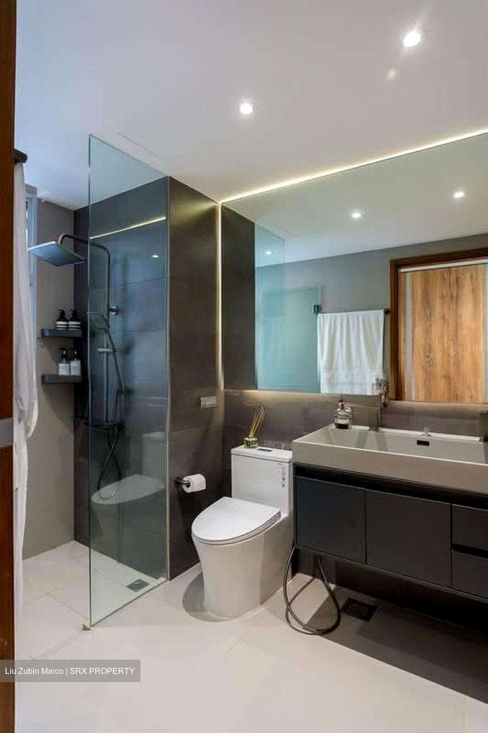 Ecopolitan (D19), Condominium #558271601